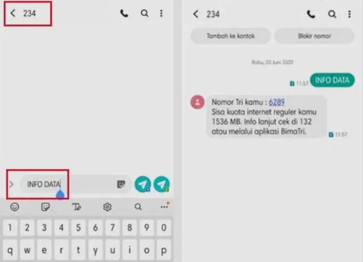 caa cek pulsa 3 dengan sms